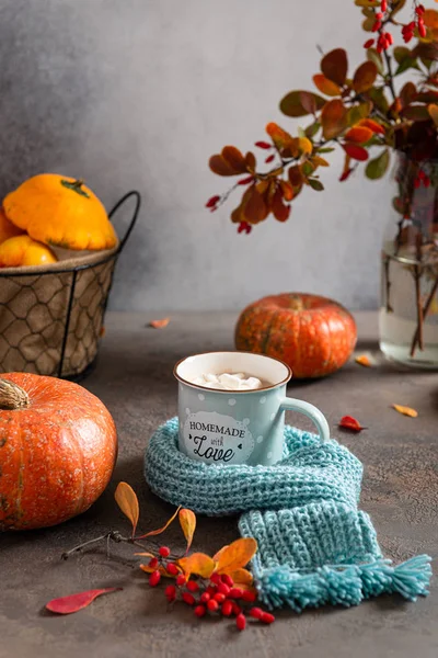 Cozy autumn, Thanksgiving, concept. Hot cocoa with marshmallows in a blue ceramic mug with blue knitted scarf surrounded by autumn leaves and pumpkins on a gray table. For greeting card or coffee shop