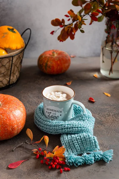 Cozy autumn, Thanksgiving, concept. Hot cocoa with marshmallows in a blue ceramic mug with blue knitted scarf surrounded by autumn leaves and pumpkins on a gray table. For greeting card or coffee shop