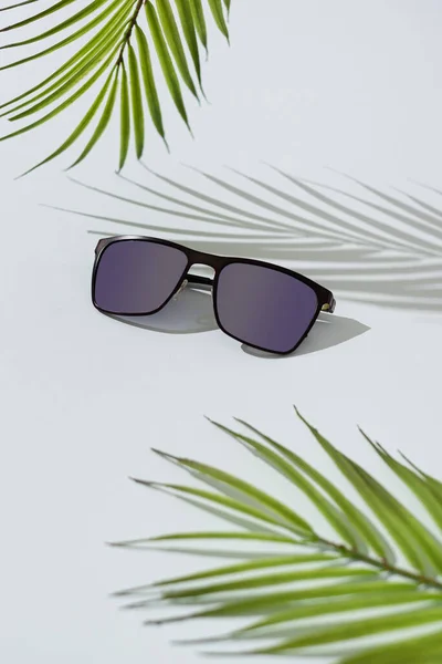 Sunglasses sale. Summer sale-out offer. Trendy Sunglasses on blue background with tropical leaves. Optics store banner. Travel, vacation, summer holidays concept, vertical