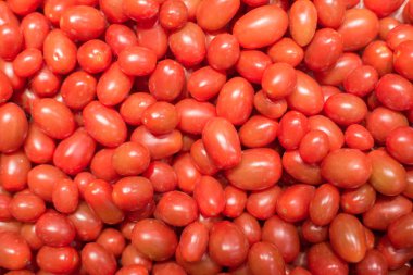 Bir grup taze domates.