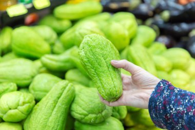 Kadının elindeki yeşil Chayote 'ye yaklaş..