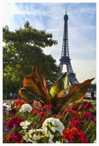 Madártávlatból Tetején Eiffel Torony Stock Fotó