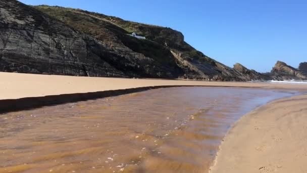 Flusso fangoso scorre verso l'oceano — Video Stock