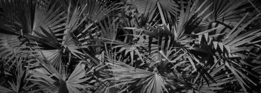 taş doku, taş arka plan, siyah ve beyaz