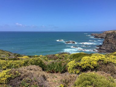 Sahil, deniz kayalıkları, tropikal çim, sarı çiçekler, Atlantik suyu, sıcak güneşli gün, mavi gökyüzü