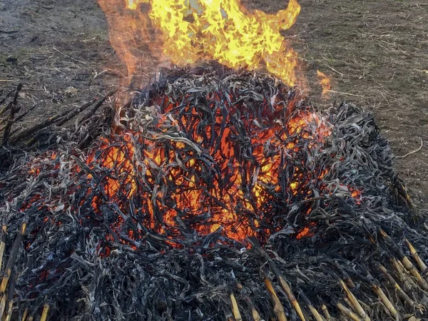 huge fire, huge bonfire, large pile of heat, tongues of fire rushing to the sky, ash