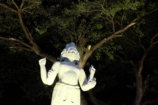 Statue Une Divinité Hindoue Quatre Mains Plusieurs Visages Éclairage Nocturne — Photo