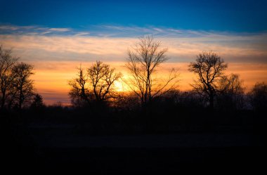 beautiful sunset, silhouettes of trees against the setting sun