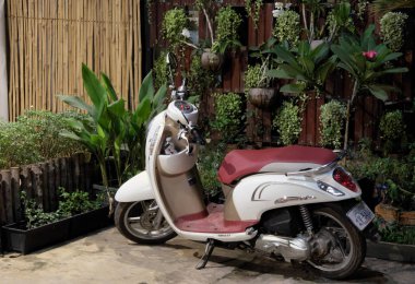 Siem Reap, Kamboçya, Aralık 13, 2018 Honda'nın küçük zarif motorlu scooter süs bitkileri ile saksı ile dekore edilmiş bir duvarın yakın park. Pembe koltuklu beyaz scooter.
