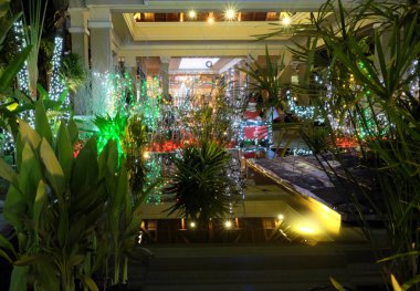 Noel süslemeleri ile dekore edilmiş küçük tropikal bahçe. Dekoratif aydınlatma. Bahçe tasarımı. Gece.