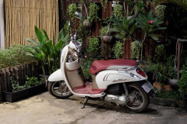 Siem Reap, Kamboçya, Aralık 13, 2018 Honda'nın küçük zarif motorlu scooter süs bitkileri ile saksı ile dekore edilmiş bir duvarın yakın park. Pembe koltuklu beyaz scooter.