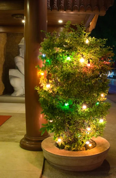 Pequeño Arbusto Verde Decorado Con Luces Año Nuevo Tiempo Noche — Foto de Stock