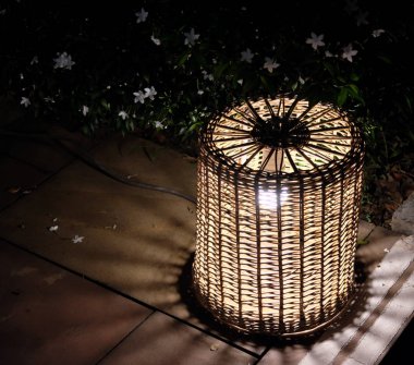 Bir çubuktan dokunan gece feneri. Küçük beyaz çiçekleri olan Bush. Gece sahnesi