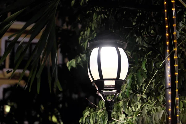 Forged Vintage Lantern Illuminates Leaves Tree Bright Light Emanating Street — Stock Photo, Image