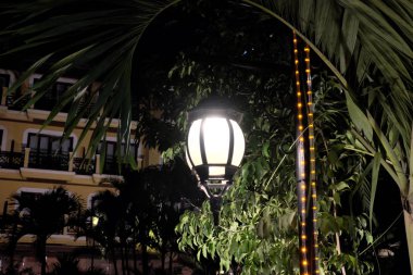 Sahte vintage fener ağacın yaprakları aydınlatır. Sokak lambasından yayılan parlak ışık.