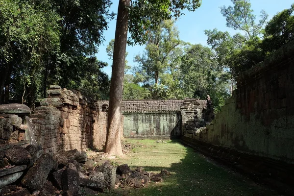Cour Complexe Temple Délabré Indochine Ruines Anciennes Dans Forêt — Photo