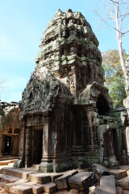 Kamboçya'daki Ta Prohm tapınak kompleksinin kalıntıları. Khmer İmparatorluğu'nun mimari mirası. Dünya mimarisinin başyapıtı.