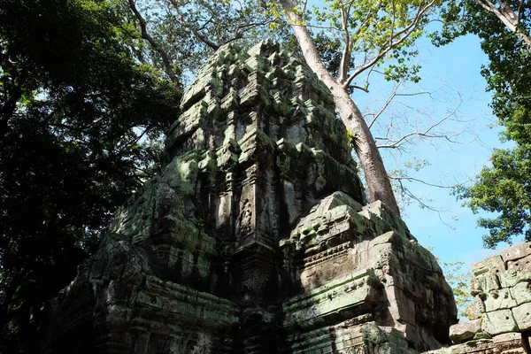 Ruins Temple Complex Prohm Cambodia Architectural Heritage Khmer Empire Masterpiece — Stock Photo, Image