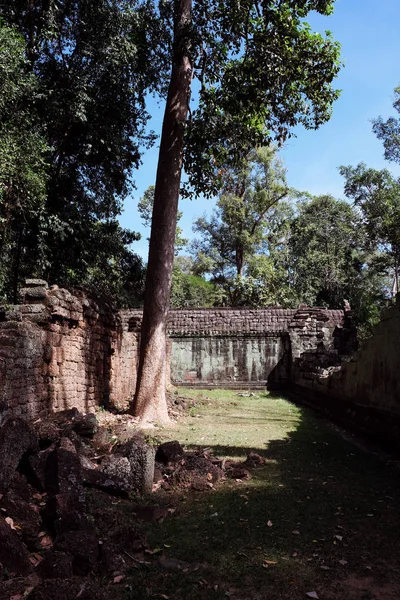 Двор Ветхого Храмового Комплекса Индокитае Древние Руины Лесу — стоковое фото