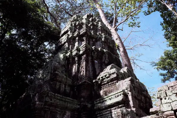 Las Ruinas Del Complejo Del Templo Prohm Camboya Patrimonio Arquitectónico — Foto de Stock