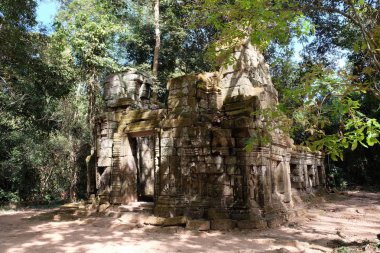 Yağmur ormanlarında bir ortaçağ evinin kalıntıları. Kamboçya ormanında antik kalıntılar.