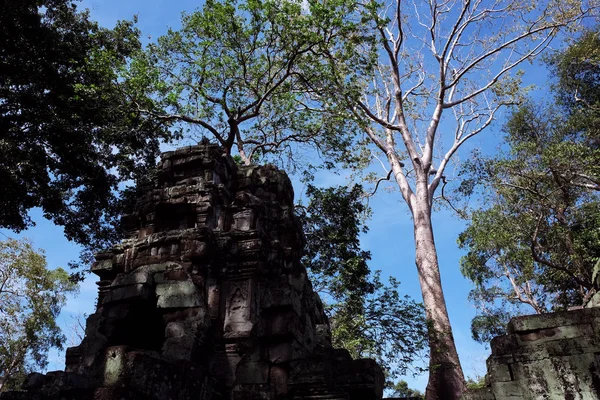 Gamla Förfallna Byggnader Regnskogen Träd Växer Nära Övergivna Byggnader Khmer — Stockfoto