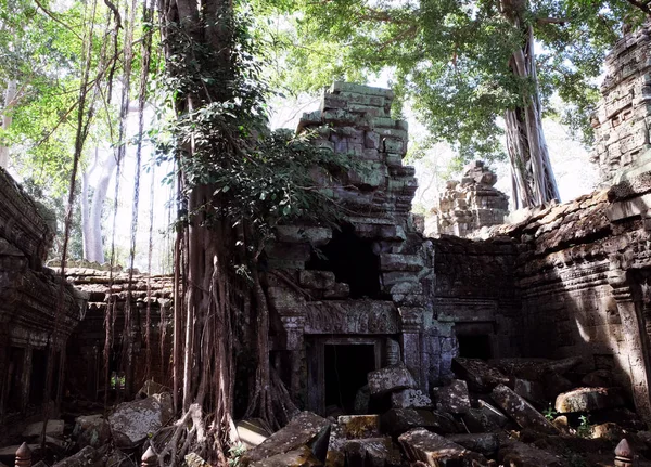 Ancient Dilapidated Buildings Rainforest Trees Grow Abandoned Buildings Khmer Empire — Stock Photo, Image