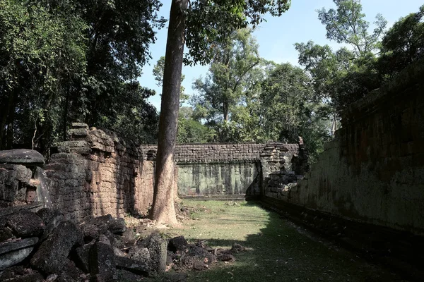 Nádvoří Zchátralé Chrámového Komplexu Indočíně Starověké Zříceniny Lese — Stock fotografie