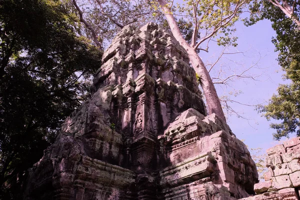 Ruinerna Tempelkomplexet Prohm Kambodja Det Arkitektoniska Arvet Khmer Riket Ett — Stockfoto
