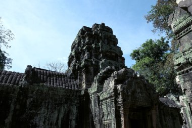 Kamboçya ormanlarında eski bir Hindu tapınağının kalıntıları. Sıcak güneşli bir gün. Dünya mimari sanatının başyapıtları.