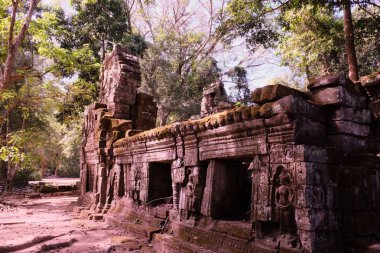 Yağmur ormanlarında bir ortaçağ evinin kalıntıları. Kamboçya ormanında antik kalıntılar.