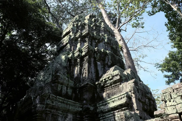 Las Ruinas Del Complejo Del Templo Prohm Camboya Patrimonio Arquitectónico —  Fotos de Stock