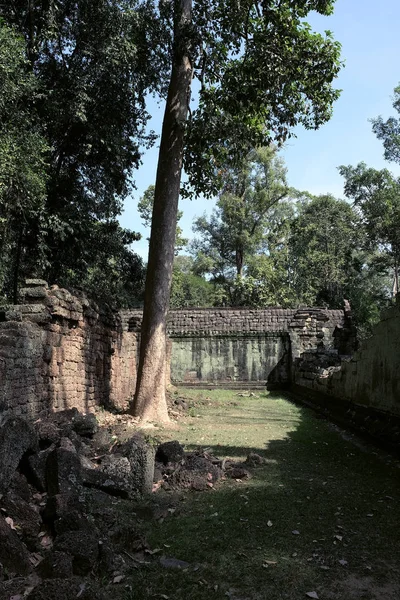 Patio Del Dilapidado Complejo Templos Indochina Antiguas Ruinas Bosque —  Fotos de Stock
