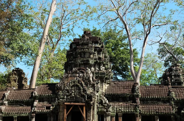 Ruins Temple Complex Prohm Cambodia Architectural Heritage Khmer Empire Masterpiece — Stock Photo, Image