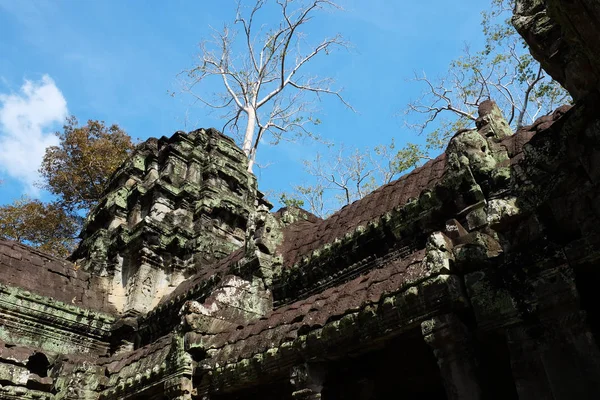 Les Ruines Complexe Temple Prohm Cambodge Patrimoine Architectural Empire Khmer — Photo