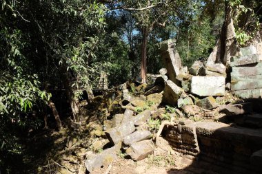 Antik kalıntıların taş blokları aydınlık öğle güneşi ile aydınlatılır. Çinhindi ormanında harabeler.