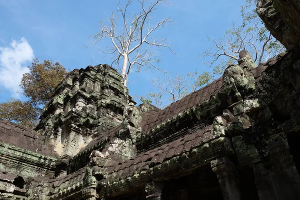 Руины Храмового Комплекса Пром Камбодже Архитектурное Наследие Кхмерской Империи Шедевр — стоковое фото