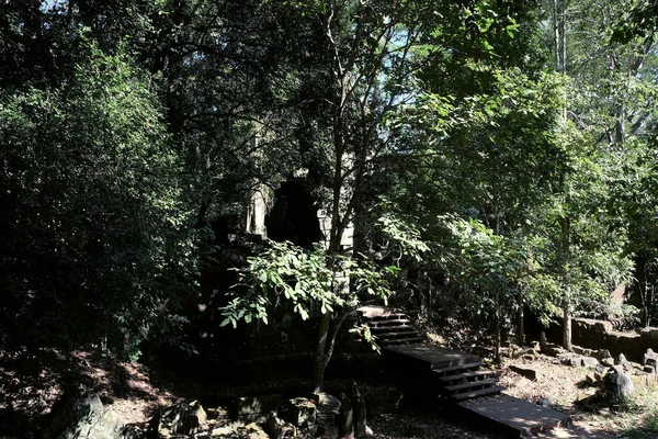 Drewniane Schody Prowadzące Starożytnych Ruin Lesie Cieniste Zarośla — Zdjęcie stockowe