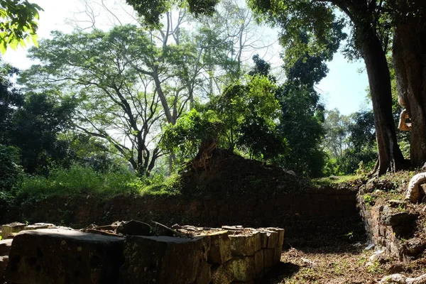 Stone foundation of the ancient destroyed building in the jungle. Warm sunny day in the forest.