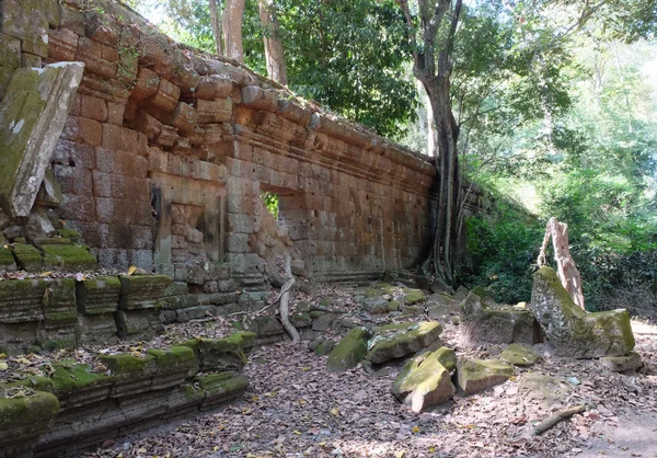 Uralte Marode Steinmauer Regenwald Fragment Alter Befestigungsanlagen Mit Moossteinruinen Überwuchert — Stockfoto