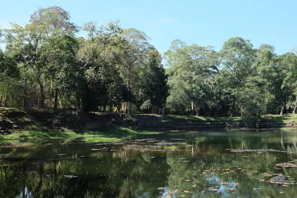 İnsan yapımı göl, kıyı ve alt taş kaplıdır. Antik Khmer rezervuarı. Baray, ne oldu? Göletin etrafında büyüyen ağaçlar, suya yansıdı.