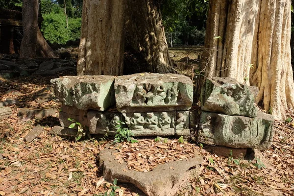 Starověké Zříceniny Lese Pozůstatky Opuštěných Budov Džungli — Stock fotografie