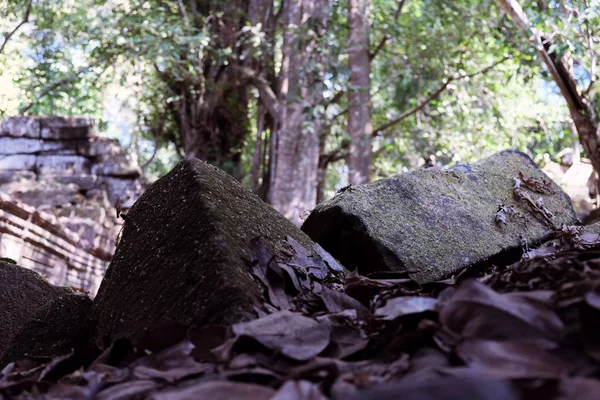 Antiguas Ruinas Bosque Los Restos Edificios Abandonados Selva — Foto de Stock