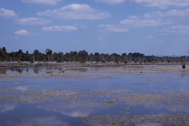 Bulutları yansıtan gölün yüzeyi. Su yüzeyi. Gökyüzü ve bataklık.