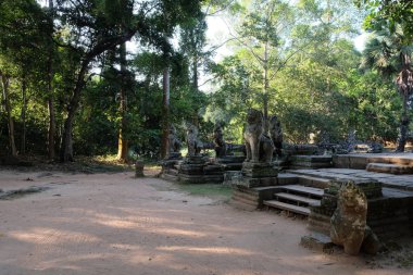 Banteay Kdei tapınağının yanındaki antik hayvan heykelleri. Yağmur ormanlarındaki antik kalıntılar.