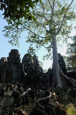 Banteay Kdei ortaçağ Khmer tapınağı. Mimari cazibe. Antik bina.