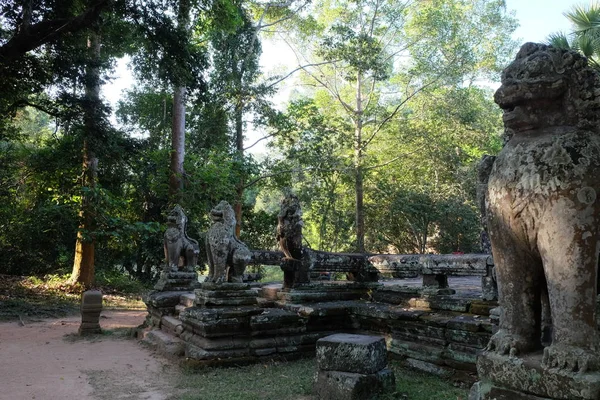 Ancient animal sculptures near the Banteay Kdei temple. Ancient ruins in the rainforest.