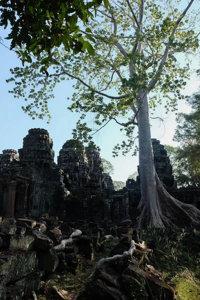 Banteay Kdei ortaçağ Khmer tapınağı. Mimari cazibe. Antik bina.