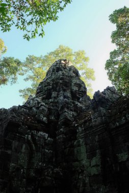 Banteay Kdei ortaçağ Khmer tapınağı. Mimari cazibe. Antik bina.