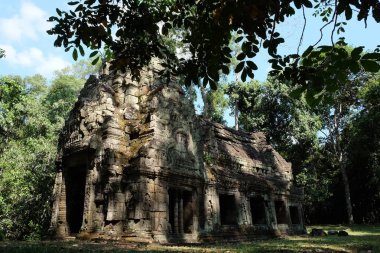 Preah Khan'ın ortaçağdan kalma Khmer tapınağı. Ormandaki Ortaçağ kalıntıları.